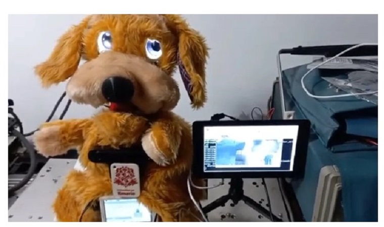 Роботизированная собака Raspberry Pi обучает испанскому языку глухих детей